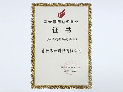 科技創(chuàng)新領先企業(yè)證書